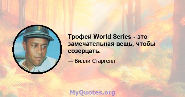 Трофей World Series - это замечательная вещь, чтобы созерцать.