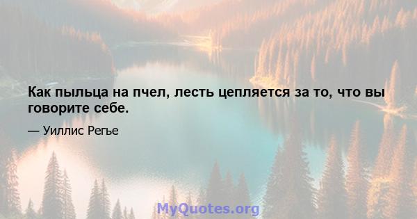 Как пыльца на пчел, лесть цепляется за то, что вы говорите себе.