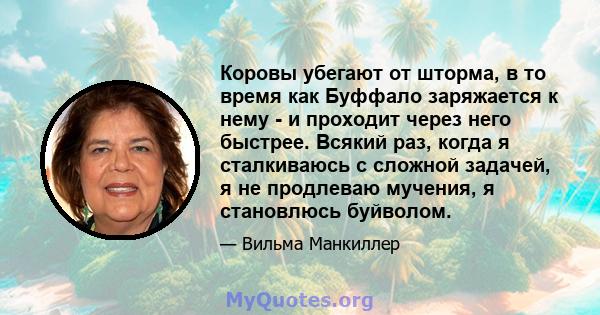 Коровы убегают от шторма, в то время как Буффало заряжается к нему - и проходит через него быстрее. Всякий раз, когда я сталкиваюсь с сложной задачей, я не продлеваю мучения, я становлюсь буйволом.