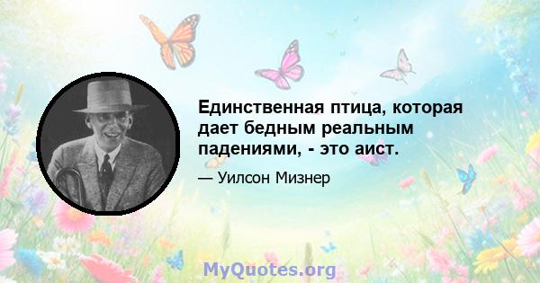 Единственная птица, которая дает бедным реальным падениями, - это аист.