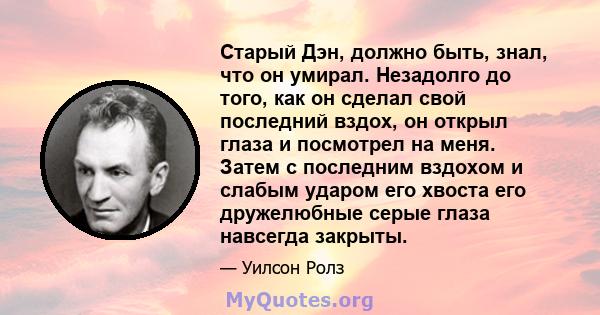 Старый Дэн, должно быть, знал, что он умирал. Незадолго до того, как он сделал свой последний вздох, он открыл глаза и посмотрел на меня. Затем с последним вздохом и слабым ударом его хвоста его дружелюбные серые глаза