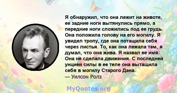 Я обнаружил, что она лежит на животе, ее задние ноги вытянулись прямо, а передние ноги сложились под ее грудь. Она положила голову на его могилу. Я увидел тропу, где она потащила себя через листья. То, как она лежала