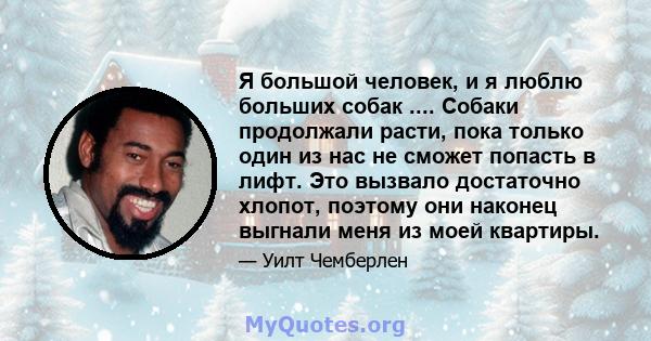 Я большой человек, и я люблю больших собак .... Собаки продолжали расти, пока только один из нас не сможет попасть в лифт. Это вызвало достаточно хлопот, поэтому они наконец выгнали меня из моей квартиры.