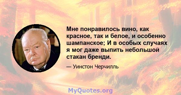 Мне понравилось вино, как красное, так и белое, и особенно шампанское; И в особых случаях я мог даже выпить небольшой стакан бренди.