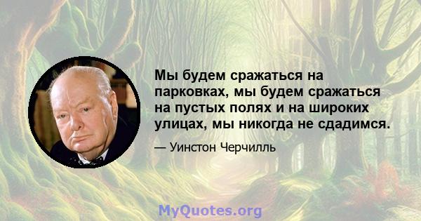 Мы будем сражаться на парковках, мы будем сражаться на пустых полях и на широких улицах, мы никогда не сдадимся.