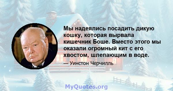 Мы надеялись посадить дикую кошку, которая вырвала кишечник Боше. Вместо этого мы оказали огромный кит с его хвостом, шлепающим в воде.