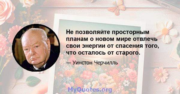 Не позволяйте просторным планам о новом мире отвлечь свои энергии от спасения того, что осталось от старого.