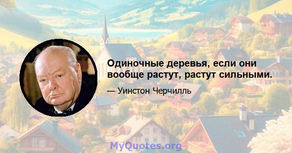 Одиночные деревья, если они вообще растут, растут сильными.