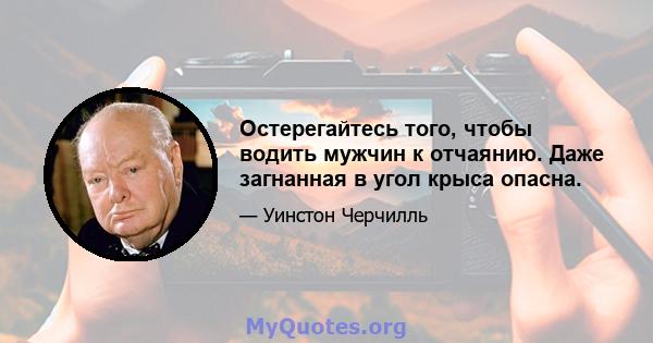 Остерегайтесь того, чтобы водить мужчин к отчаянию. Даже загнанная в угол крыса опасна.