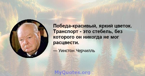 Победа-красивый, яркий цветок. Транспорт - это стебель, без которого он никогда не мог расцвести.