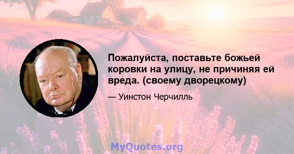 Пожалуйста, поставьте божьей коровки на улицу, не причиняя ей вреда. (своему дворецкому)