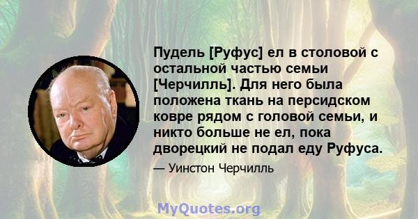 Пудель [Руфус] ел в столовой с остальной частью семьи [Черчилль]. Для него была положена ткань на персидском ковре рядом с головой семьи, и никто больше не ел, пока дворецкий не подал еду Руфуса.