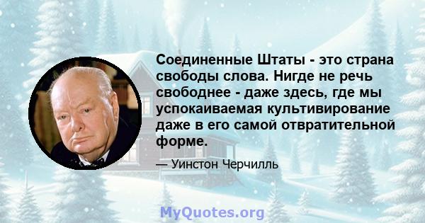 Соединенные Штаты - это страна свободы слова. Нигде не речь свободнее - даже здесь, где мы успокаиваемая культивирование даже в его самой отвратительной форме.