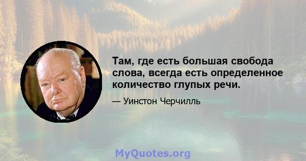 Там, где есть большая свобода слова, всегда есть определенное количество глупых речи.