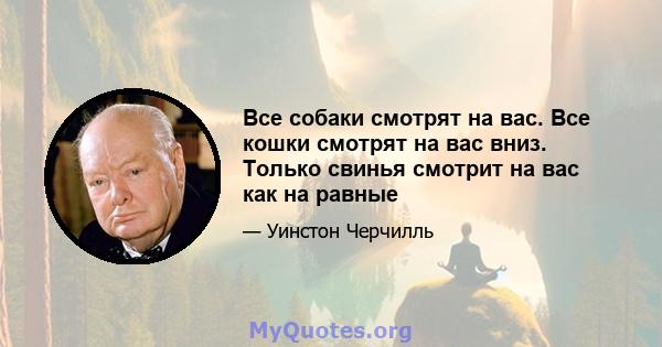 Все собаки смотрят на вас. Все кошки смотрят на вас вниз. Только свинья смотрит на вас как на равные