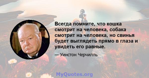 Всегда помните, что кошка смотрит на человека, собака смотрит на человека, но свинья будет выглядеть прямо в глаза и увидеть его равные.