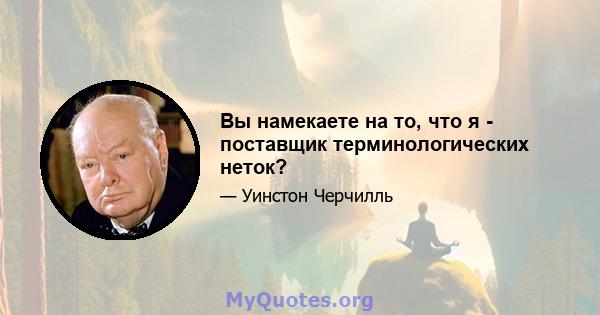 Вы намекаете на то, что я - поставщик терминологических неток?