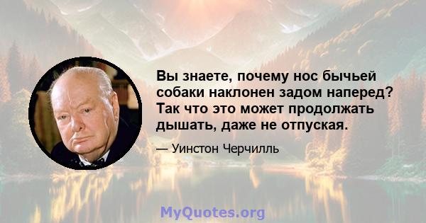 Вы знаете, почему нос бычьей собаки наклонен задом наперед? Так что это может продолжать дышать, даже не отпуская.