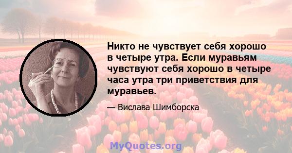 Никто не чувствует себя хорошо в четыре утра. Если муравьям чувствуют себя хорошо в четыре часа утра три приветствия для муравьев.