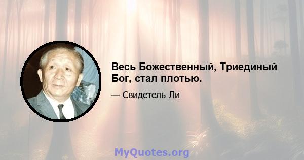 Весь Божественный, Триединый Бог, стал плотью.