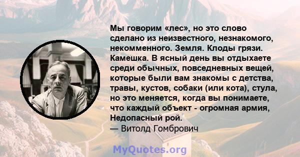 Мы говорим «лес», но это слово сделано из неизвестного, незнакомого, некомменного. Земля. Клоды грязи. Камешка. В ясный день вы отдыхаете среди обычных, повседневных вещей, которые были вам знакомы с детства, травы,