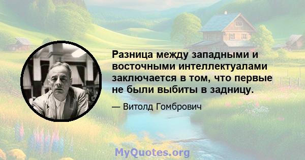 Разница между западными и восточными интеллектуалами заключается в том, что первые не были выбиты в задницу.