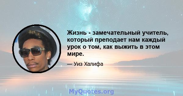 Жизнь - замечательный учитель, который преподает нам каждый урок о том, как выжить в этом мире.