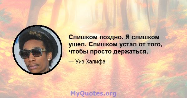 Слишком поздно. Я слишком ушел. Слишком устал от того, чтобы просто держаться.