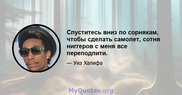 Спуститесь вниз по сорнякам, чтобы сделать самолет, сотня ниггеров с меня все переподпити.