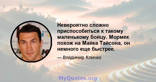 Невероятно сложно приспособиться к такому маленькому бойцу. Мормек похож на Майка Тайсона, он немного еще быстрее.