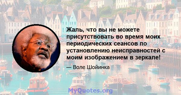 Жаль, что вы не можете присутствовать во время моих периодических сеансов по установлению неисправностей с моим изображением в зеркале!