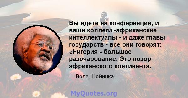 Вы идете на конференции, и ваши коллеги -африканские интеллектуалы - и даже главы государств - все они говорят: «Нигерия - большое разочарование. Это позор африканского континента.