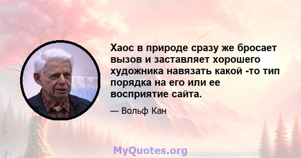 Хаос в природе сразу же бросает вызов и заставляет хорошего художника навязать какой -то тип порядка на его или ее восприятие сайта.