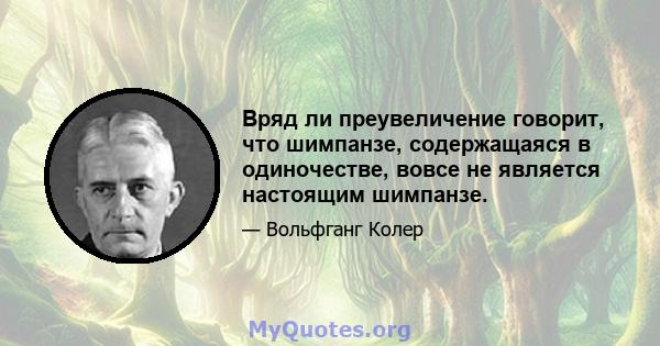 Вряд ли преувеличение говорит, что шимпанзе, содержащаяся в одиночестве, вовсе не является настоящим шимпанзе.