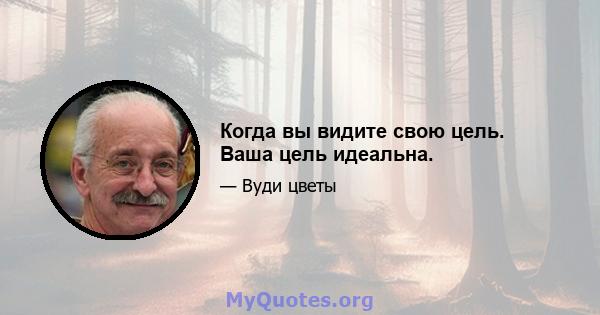 Когда вы видите свою цель. Ваша цель идеальна.