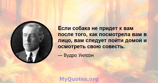 Если собака не придет к вам после того, как посмотрела вам в лицо, вам следует пойти домой и осмотреть свою совесть.