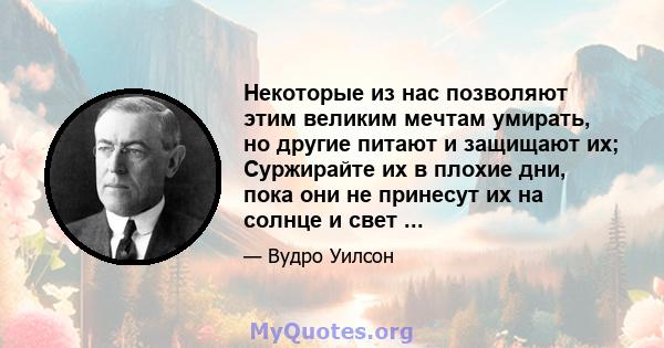 Некоторые из нас позволяют этим великим мечтам умирать, но другие питают и защищают их; Суржирайте их в плохие дни, пока они не принесут их на солнце и свет ...