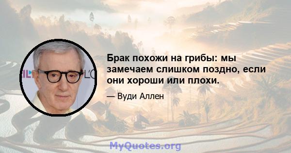 Брак похожи на грибы: мы замечаем слишком поздно, если они хороши или плохи.