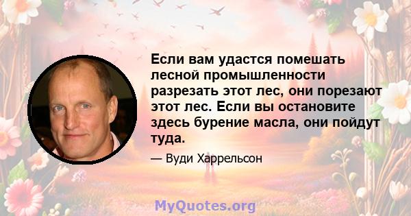 Если вам удастся помешать лесной промышленности разрезать этот лес, они порезают этот лес. Если вы остановите здесь бурение масла, они пойдут туда.