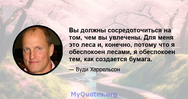 Вы должны сосредоточиться на том, чем вы увлечены. Для меня это леса и, конечно, потому что я обеспокоен лесами, я обеспокоен тем, как создается бумага.