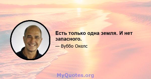 Есть только одна земля. И нет запасного.