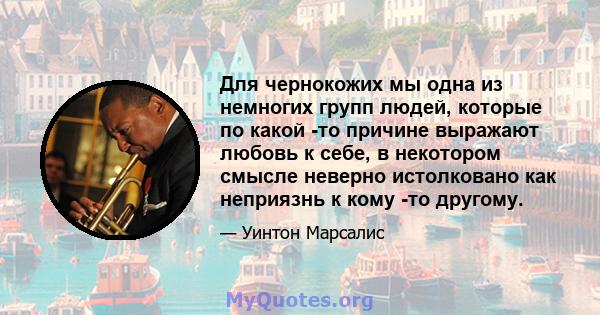 Для чернокожих мы одна из немногих групп людей, которые по какой -то причине выражают любовь к себе, в некотором смысле неверно истолковано как неприязнь к кому -то другому.