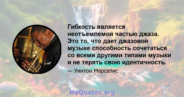 Гибкость является неотъемлемой частью джаза. Это то, что дает джазовой музыке способность сочетаться со всеми другими типами музыки и не терять свою идентичность.