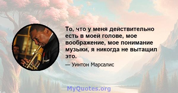 То, что у меня действительно есть в моей голове, мое воображение, мое понимание музыки, я никогда не вытащил это.