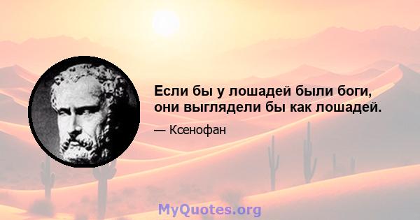 Если бы у лошадей были боги, они выглядели бы как лошадей.