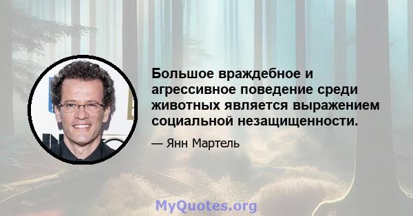 Большое враждебное и агрессивное поведение среди животных является выражением социальной незащищенности.