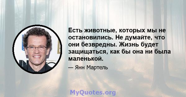 Есть животные, которых мы не остановились. Не думайте, что они безвредны. Жизнь будет защищаться, как бы она ни была маленькой.