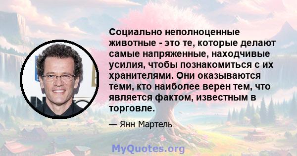 Социально неполноценные животные - это те, которые делают самые напряженные, находчивые усилия, чтобы познакомиться с их хранителями. Они оказываются теми, кто наиболее верен тем, что является фактом, известным в