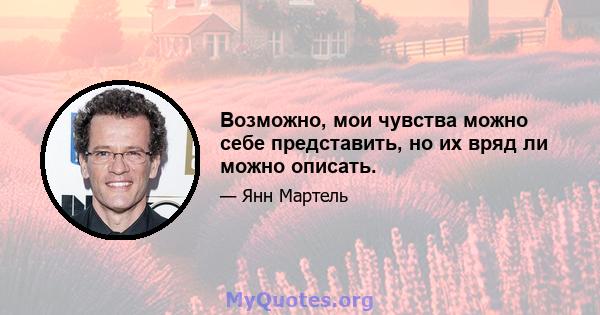 Возможно, мои чувства можно себе представить, но их вряд ли можно описать.