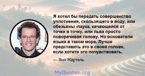 Я хотел бы передать совершенство уплотнения, скользящего в воду, или обезьяны -паука, качающейся от точки в точку, или льва просто поворачивая голову. Но основатели языка в таком море. Лучше представить это в своей